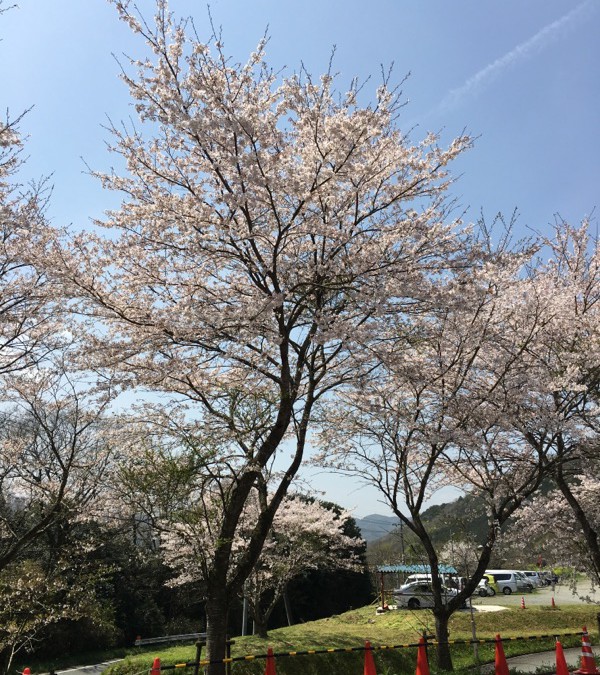 ウェルポート虹だより　12号